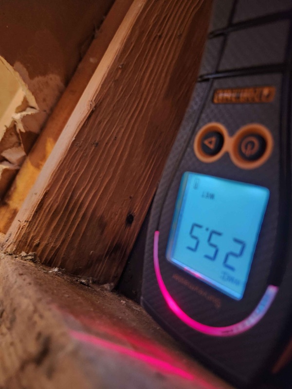 Pin moisture meter reading 5.52 percent on exposed framing behind cut drywall